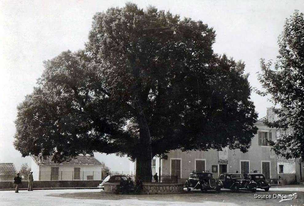 06 Castellar Place de la Mairie.jpg